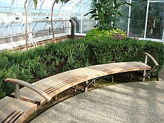 331 Longwood Gardens [2008 August 23]